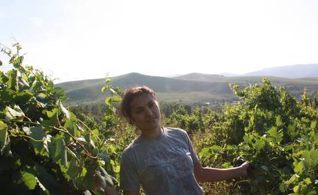 Фото Саженцы винограда