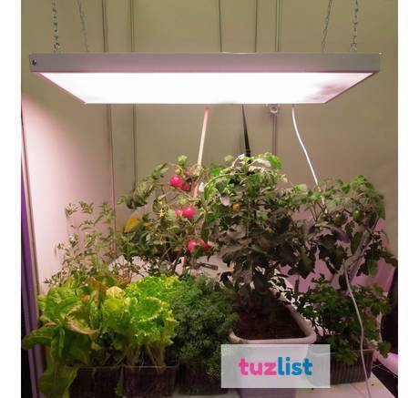 Фото Фитосветильник для расады и комнатных растений