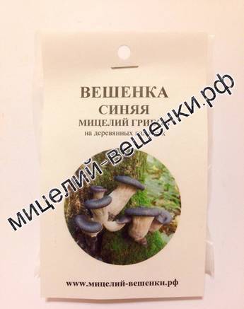 Фото Мицелий грибов вешенка синяя на палочках