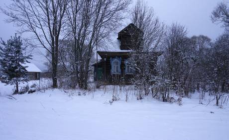 Фото Бревенчатый дом в тихой деревне, рядом с лесом,