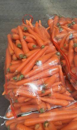 Фото Морковь мытая,грязная