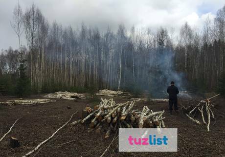 Фото Очистка сельскохозяйственных угодий от древ-кустар раститель