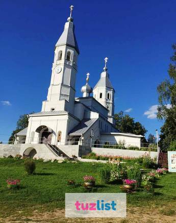 Фото Земельные участки д. Трутнево