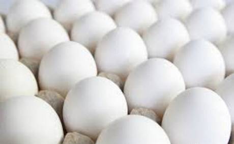 Фото Белые куриные яйца
