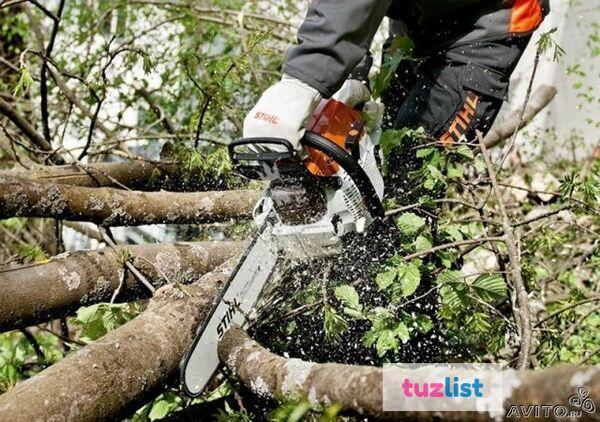 Фото Расчистка участка от деревьев и мелколесья в Тюмени