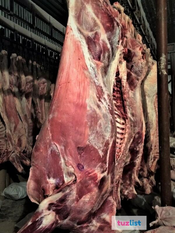 Фото мясо говядина