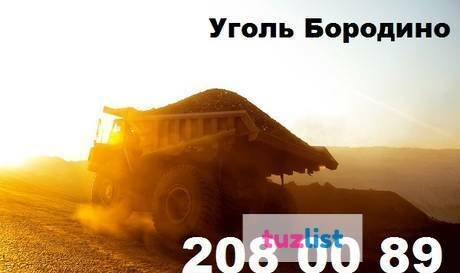 Фото Бородинский уголь тоннажом