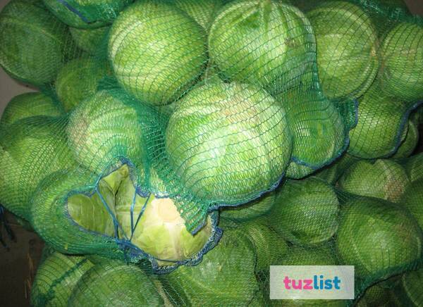 Фото Принимаем заказы на поставку капусты