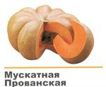 Фото №2 Семена тыквы Мускат де Прованс F1 (0,5 кг, 1000с)