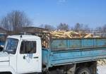 Фото №2 Дрова берёза, осина, клён, липа, дуб с доставкой
