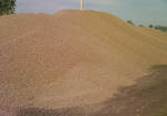 Фото №2 Продам песок речной и карьерный по цене производителя