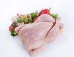 Фото №2 Мясо курицы-несушки 2 категория, промпереработка