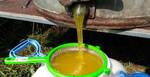 Фото №2 Вкуснейший Мёд в Кургане купить и в Курганской области мед