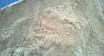 фото Песок природный мытый (новый в мешках)