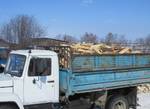 фото Дрова берёза, осина, клён, липа, дуб с доставкой