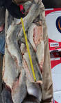 Фото №2 Кета, горбуша ,кальмар, минтай, лосось