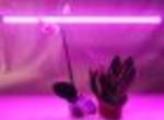 фото Ультратонкий светодиодный светильник для растений «Фито» 18W