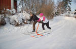 фото Сани для езды и спорта из Финляндии Kickspark Max red