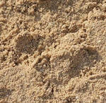 фото Купить песок строительный (не мытый)