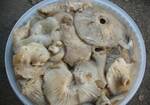Фото №2 Соленые грибы ассорти
