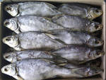 фото Рыба свежезамороженнаяи вяленная:вобла,лещ,тарашка,буфла соп