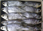 Фото №2 Рыба свежезамороженнаяи вяленная:вобла,лещ,тарашка,буфла соп