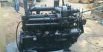 Фото №2 Капитальный ремонт двигателя Д260.1 на погрузчике Амкодор 34