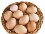 Фото №4 Яйцо куриное, мясо, кур, индейки, субпродукты