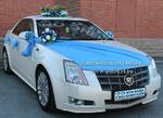 фото Аренда, прокат свадебных украшений на автомобиль