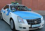Фото №2 Аренда, прокат свадебных украшений на автомобиль