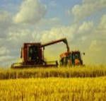 Фото №2 Реализация пшеницы 4 класса