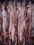 фото Продам мясо свинины оптом