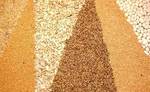 фото Семена кормовых травосмесей (продуктивная кормовая)