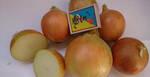 Фото №2 Овощи борщевой группы(капуста, лук, свекла,морковь, картофел