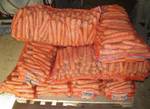 фото Морковь оптом, с полей.