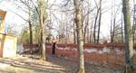 фото Спил деревьев Ульяновск