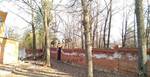 Фото №2 Спил деревьев Ульяновск
