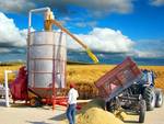 фото Оказываем услуги по сушке зерна в вашем хозяйстве