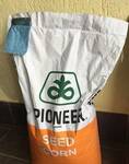 Фото №2 Срочно продам семена кукурузы Пиоенр