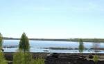 фото 12 соток у берега озера Большое Ямское, п.Григорьевка.