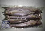 Фото №2 Свежемороженая морская рыба,кефаль,ставрида....