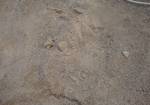 Фото №2 Песок, Гравий, Плодородный грунт, Торф