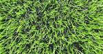фото Спортивная искусственная трава 40 ММ