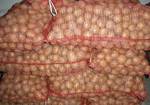 фото Картофель отборный калибр 5 ,в сетках,от 20 тонн.