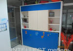 Фото №2 Шкаф-кровать детская COMBO-2 глубина 35 см