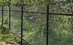 фото Забор из оцинкованной сетки рабицы