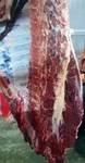 фото Быки с откорма мясного направления Абердин-ангусская порода