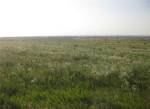 фото Продается земельный участок сельхоз назначения в Ростовской