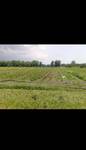 фото Апшеронск земля сельхозугодий собственность