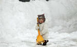 Фото №2 Уборка и вывоз снега